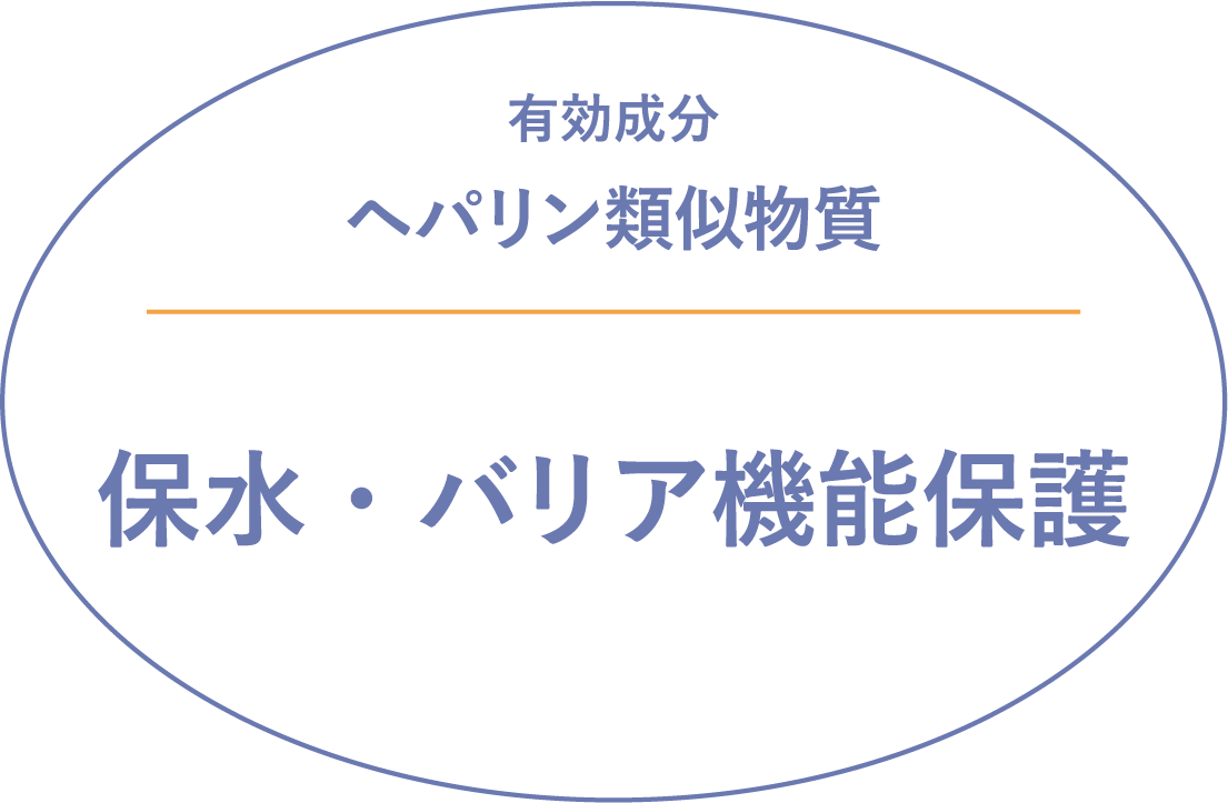 有効成分ヘパリン類似物質　保水・バリア機能保護